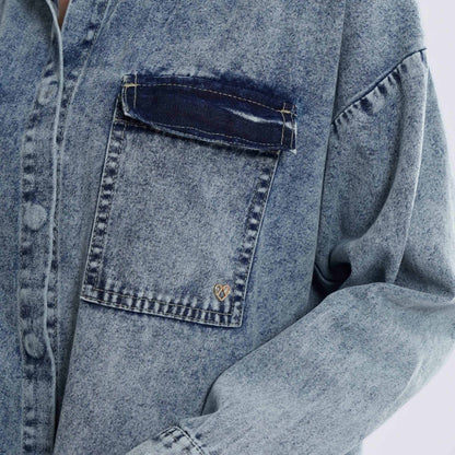 Clesia Denim Dress