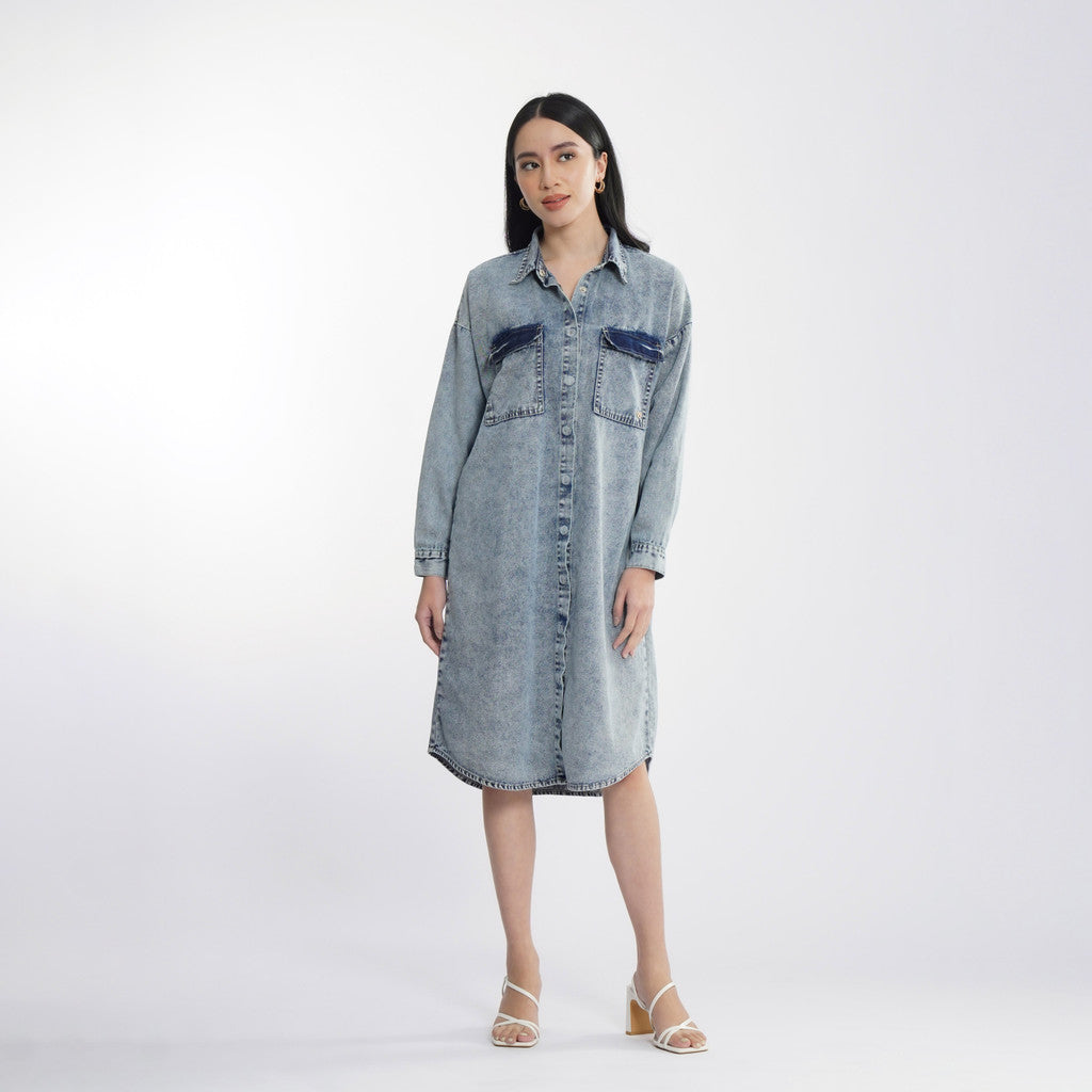 Clesia Denim Dress